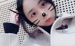 新版猫咪目前的地址IOS